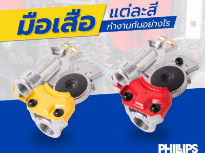 มือเสือแต่ละสีทำงานกันอย่างไร