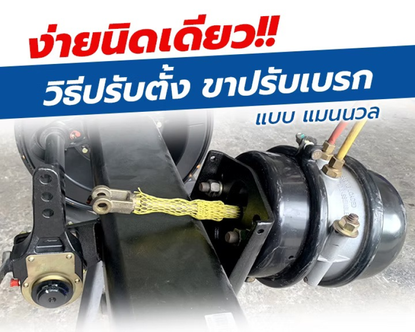 wellinterparts