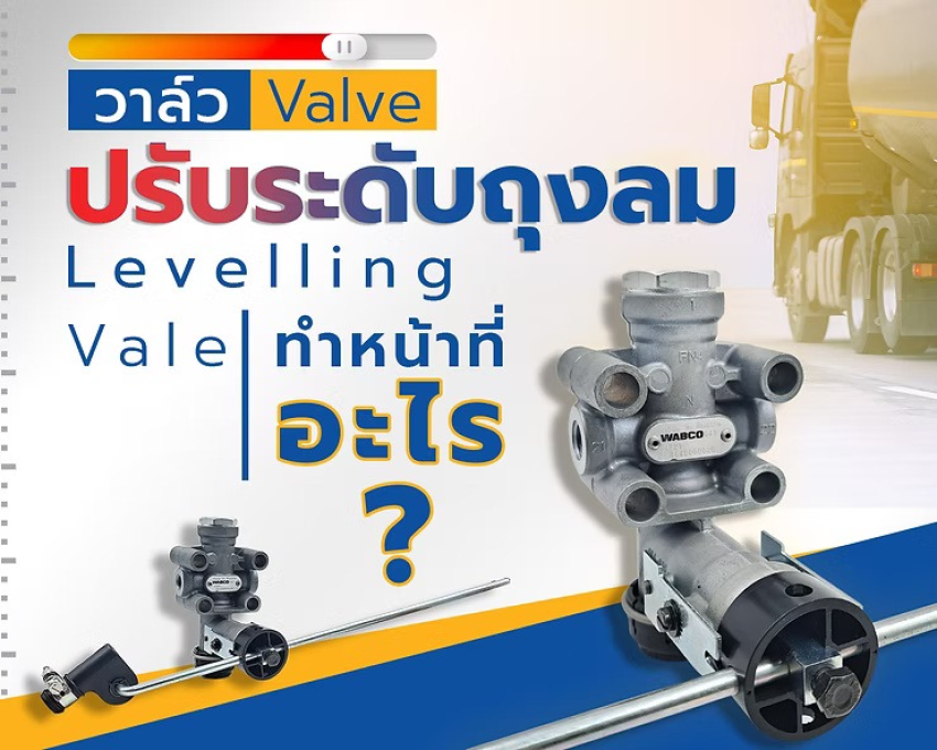 wellinterparts