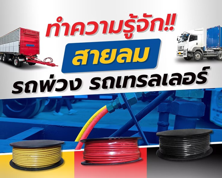 wellinterparts