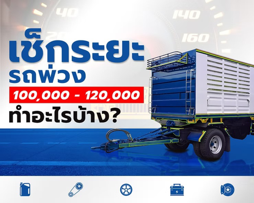 wellinterparts