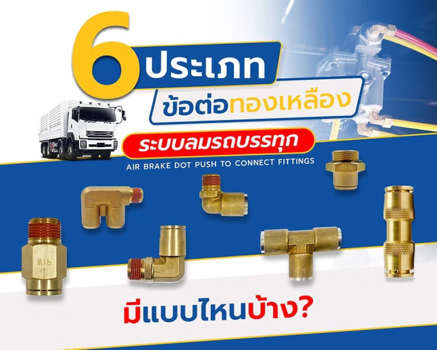 wellinterparts
