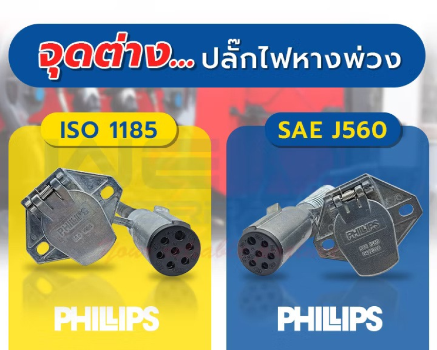 wellinterparts