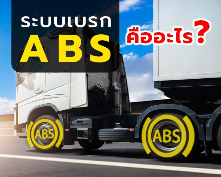 wellinterparts