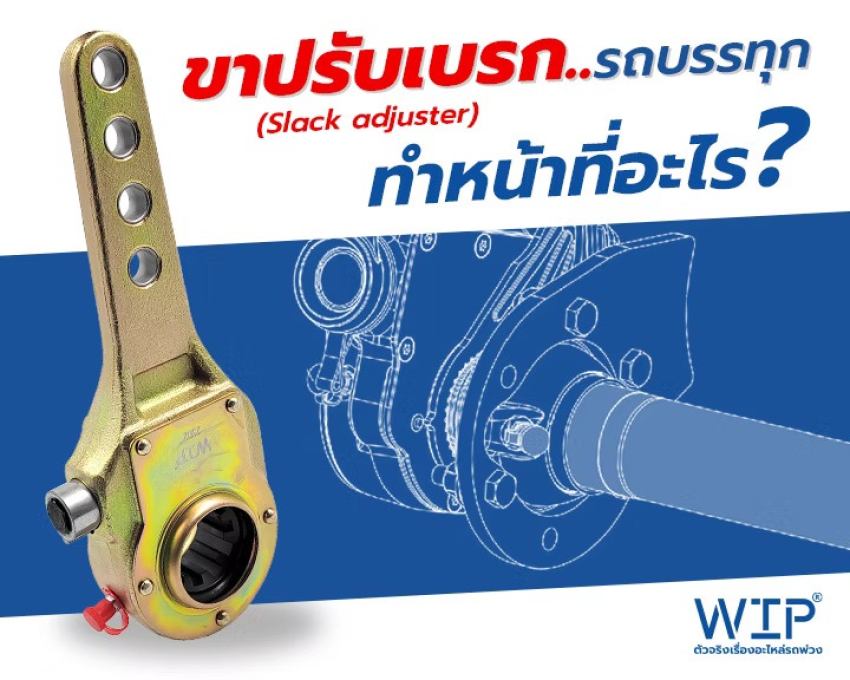 wellinterparts