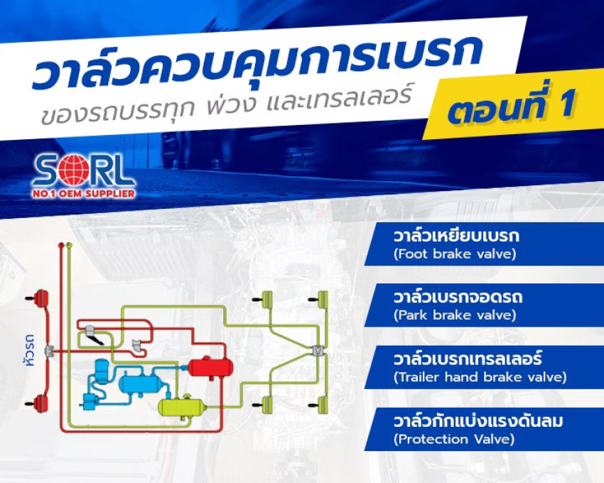 wellinterparts