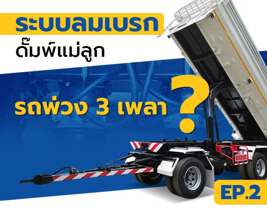 wellinterparts