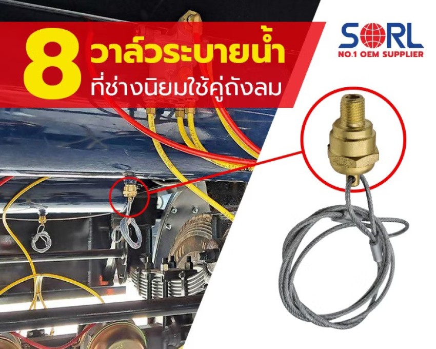 wellinterparts