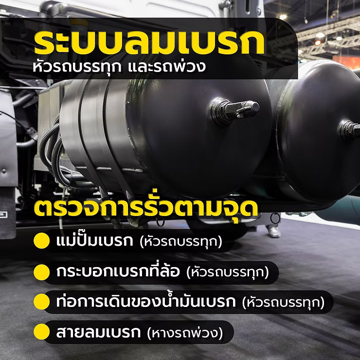 wellinterparts