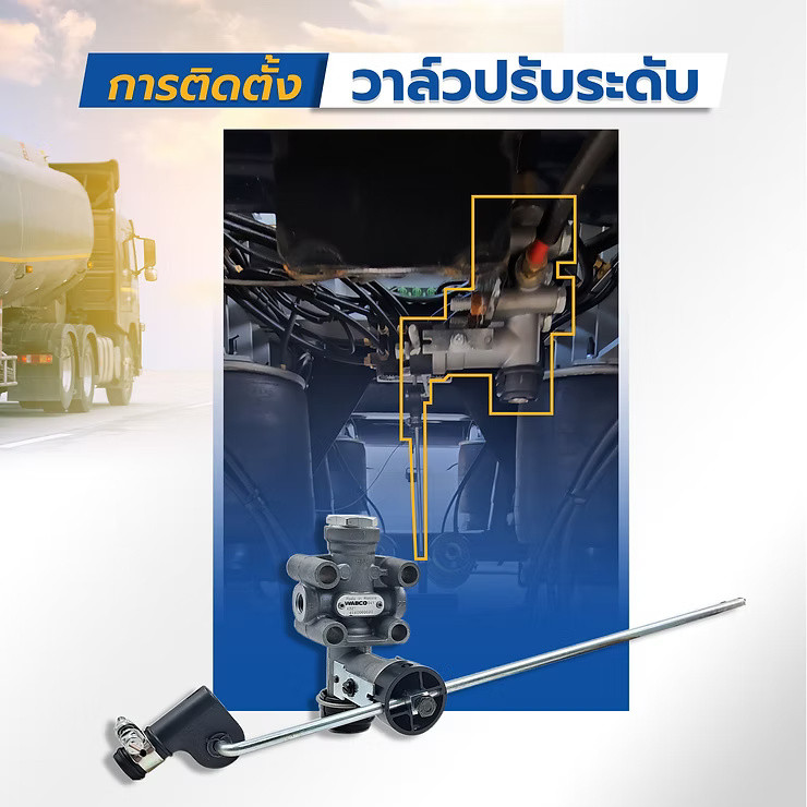 wellinterparts