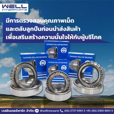 wellinterparts