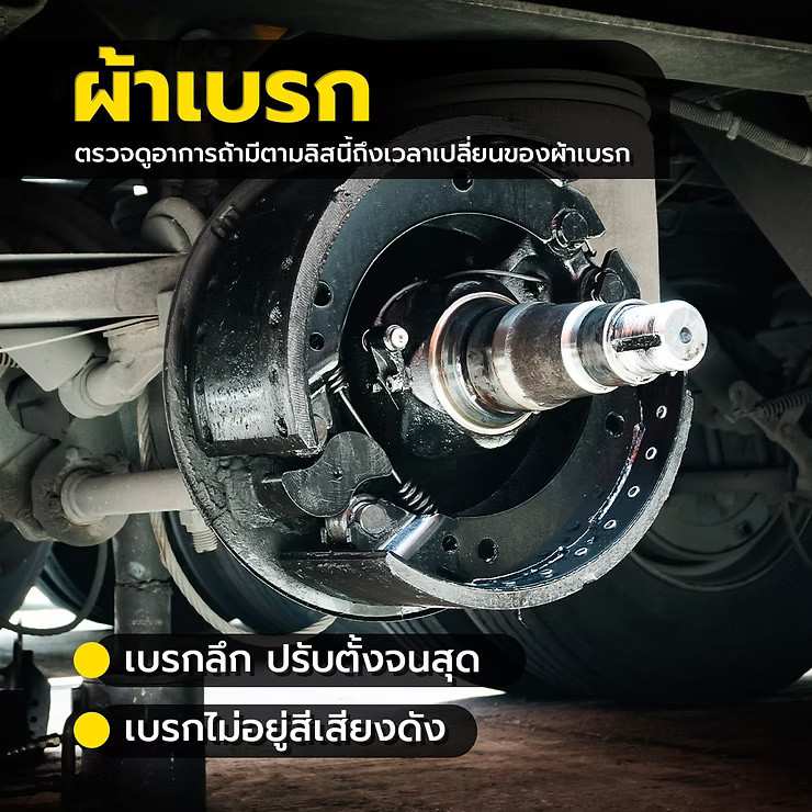 wellinterparts