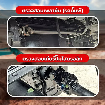 wellinterparts