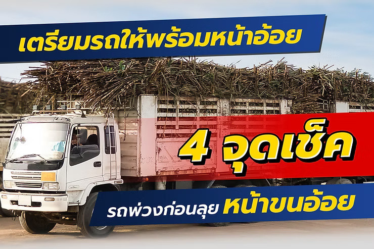 wellinterparts