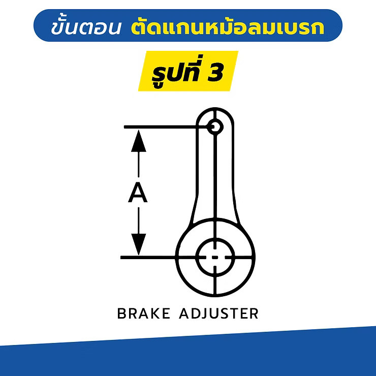 wellinterparts
