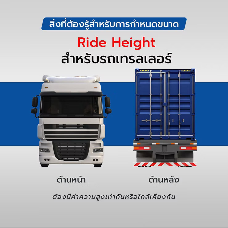 wellinterparts