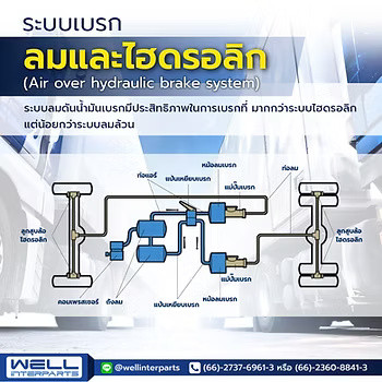 wellinterparts