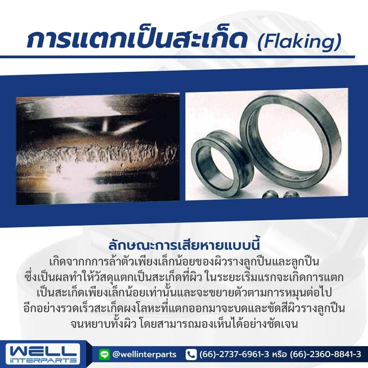 wellinterparts