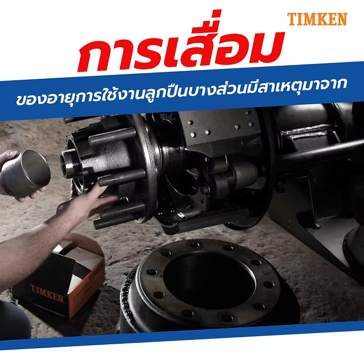 wellinterparts