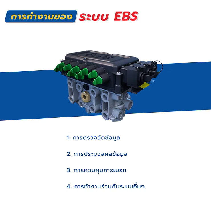 wellinterparts