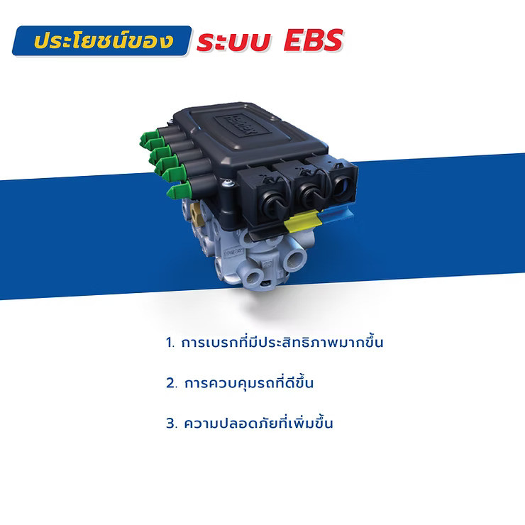 wellinterparts