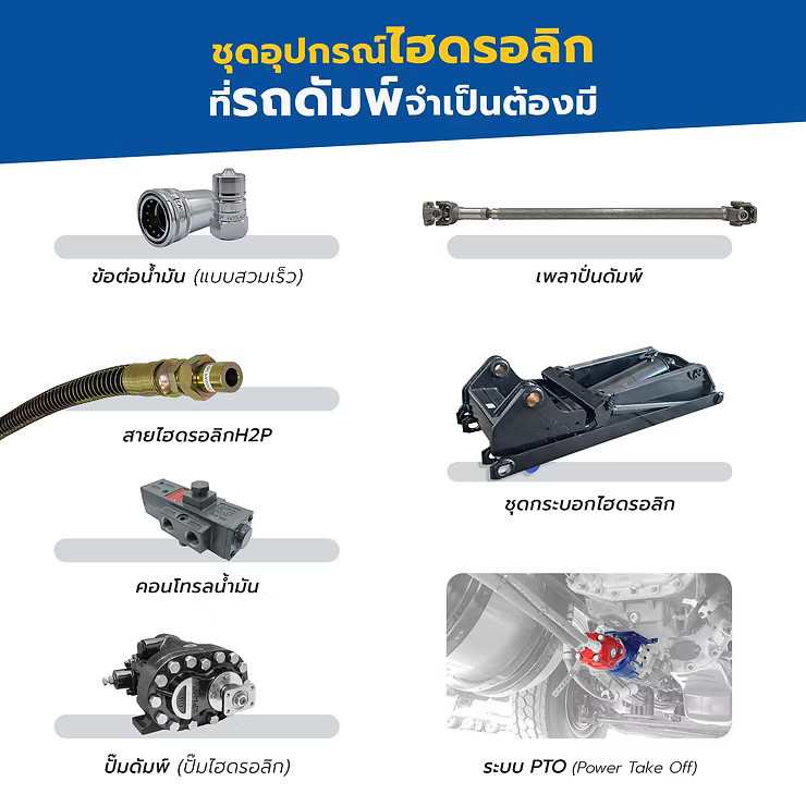 wellinterparts