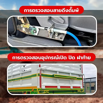 wellinterparts