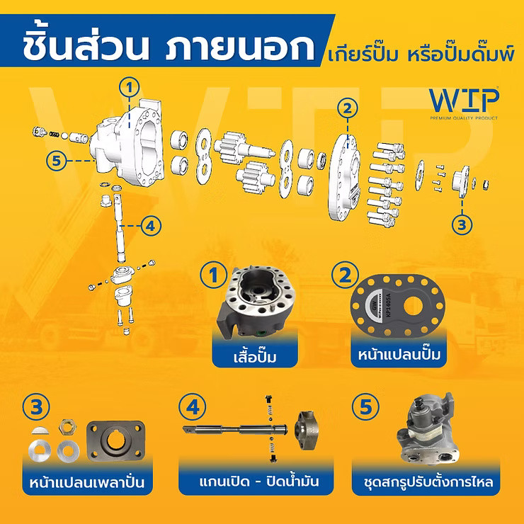 wellinterparts