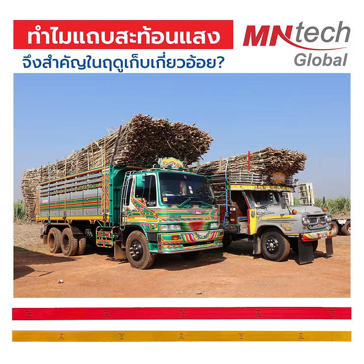 wellinterparts