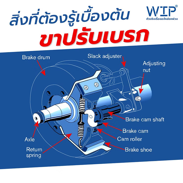 wellinterparts