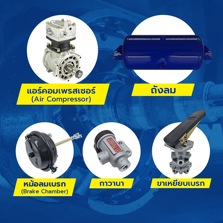 wellinterparts