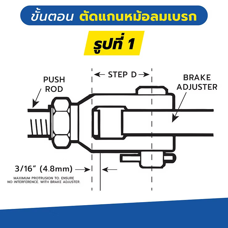 wellinterparts
