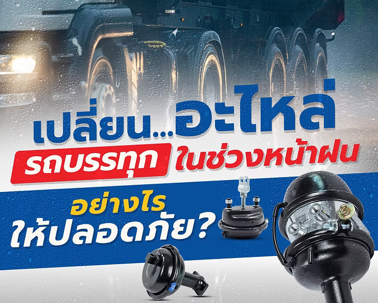 wellinterparts
