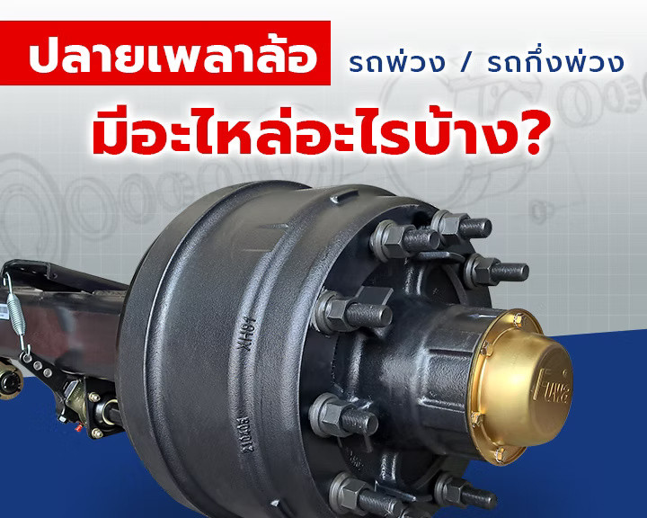 wellinterparts