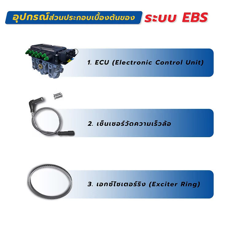 wellinterparts