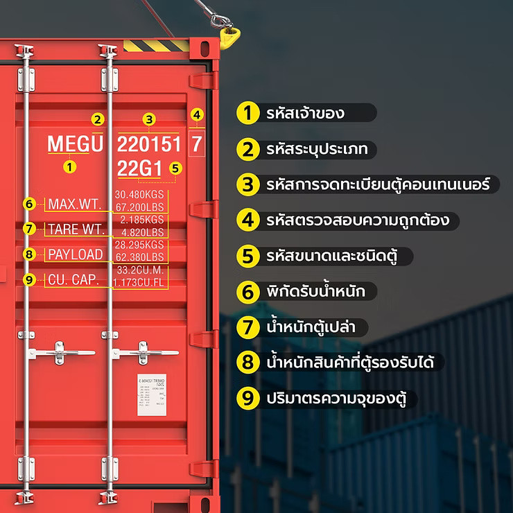 wellinterparts
