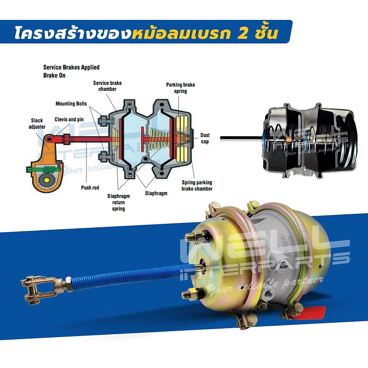 wellinterparts