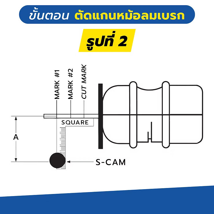 wellinterparts