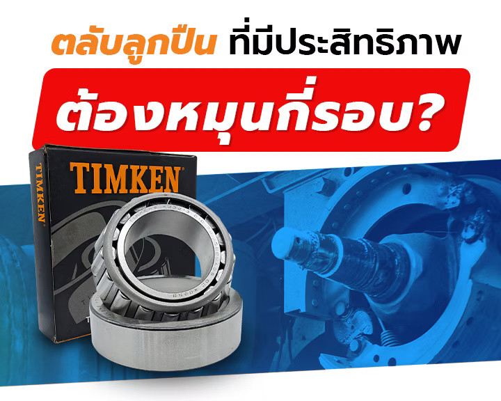 wellinterparts