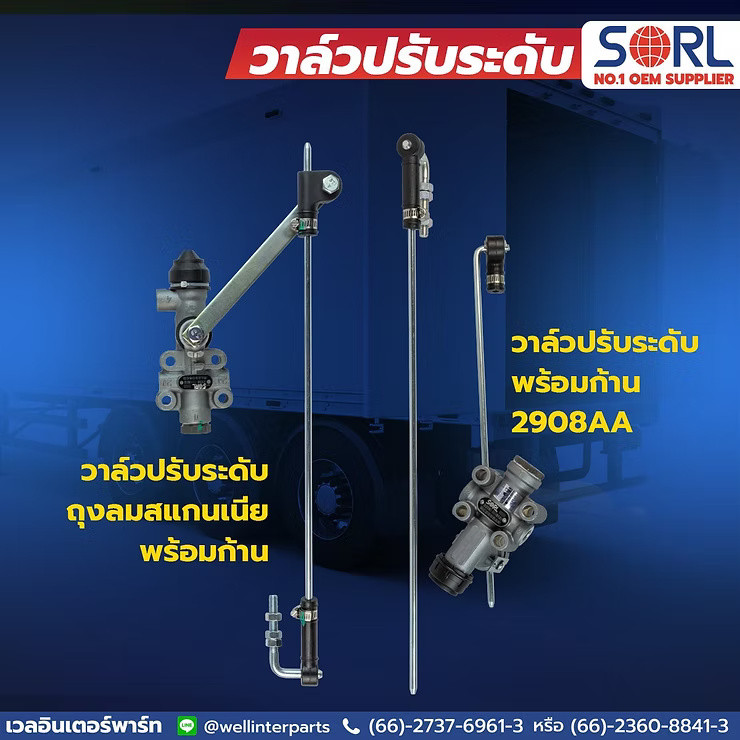 wellinterparts