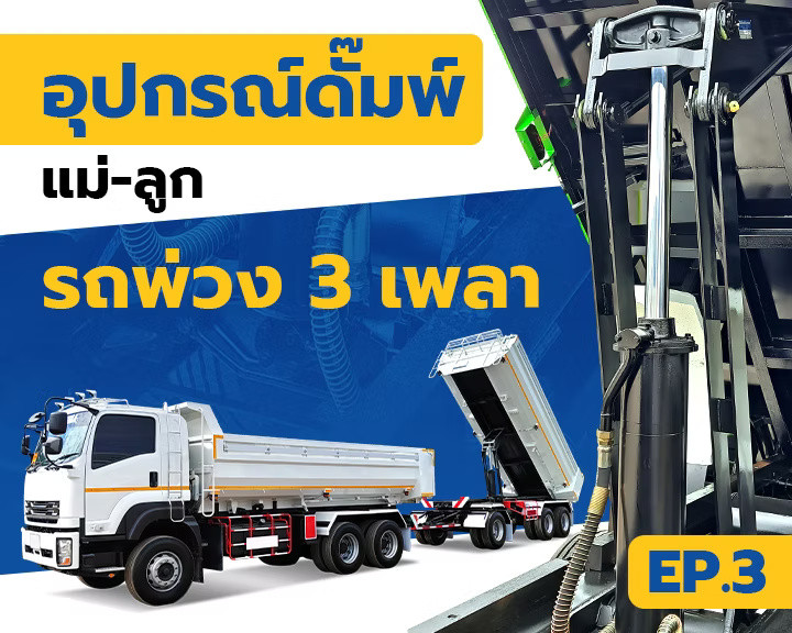 wellinterparts