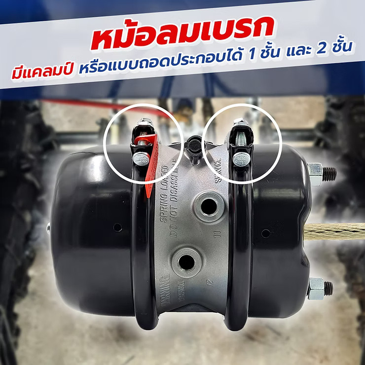 wellinterparts