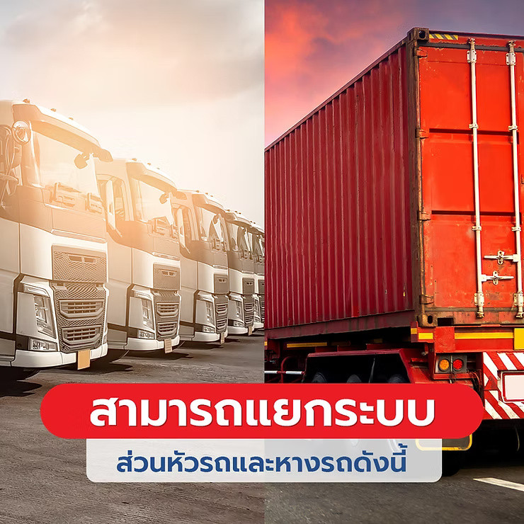 wellinterparts