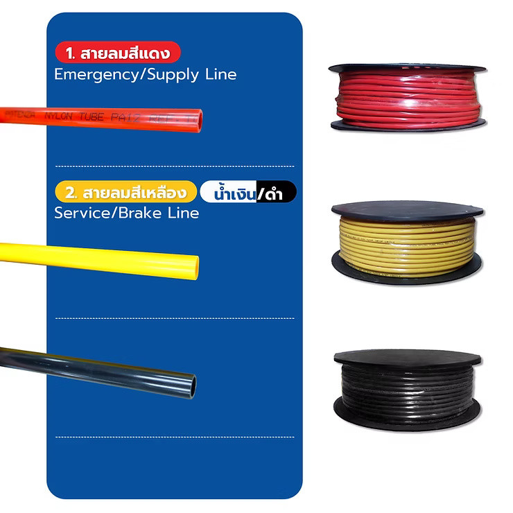 wellinterparts