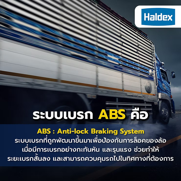 wellinterparts
