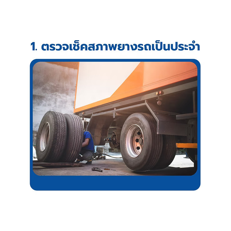 wellinterparts