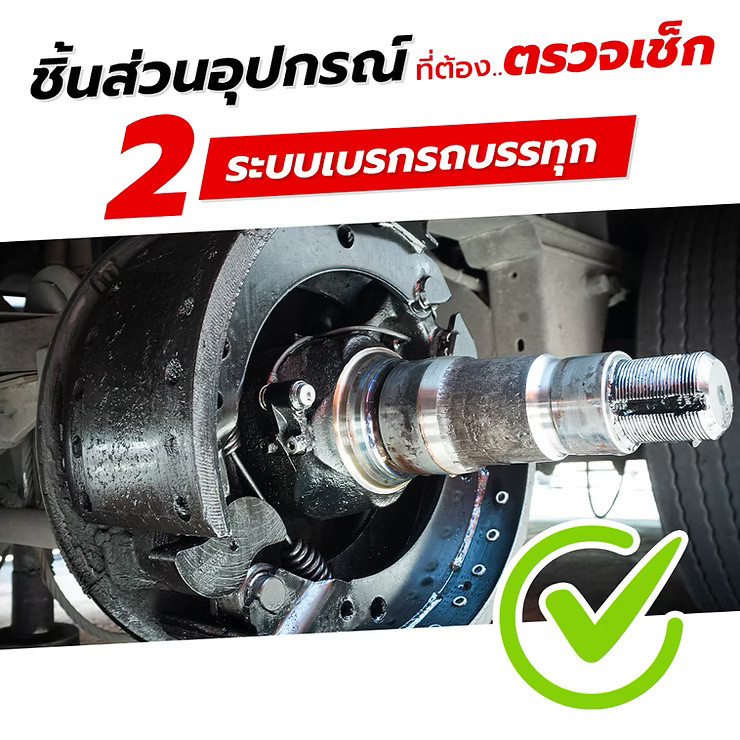 wellinterparts