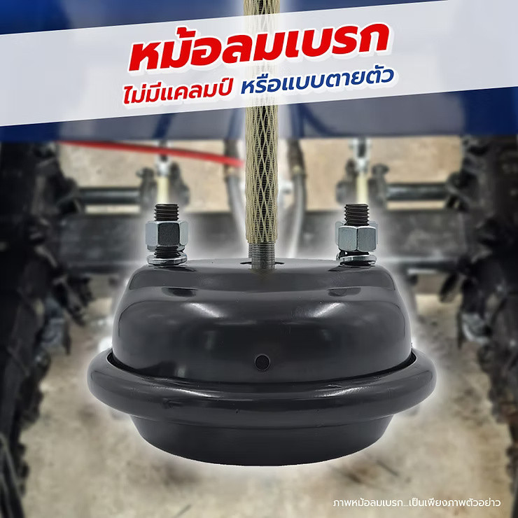 wellinterparts