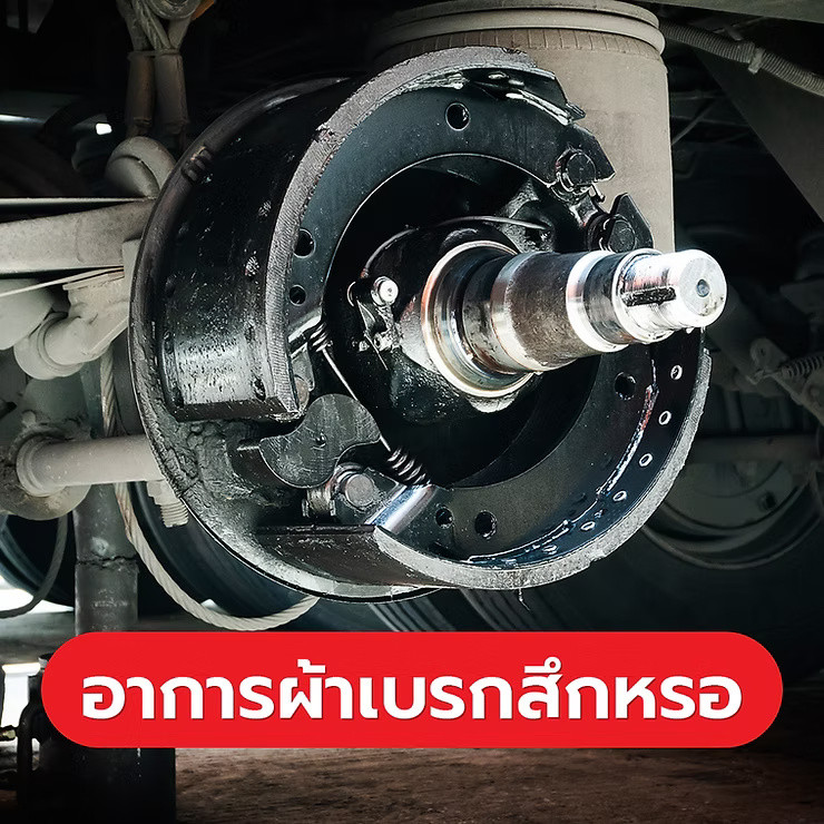 wellinterparts