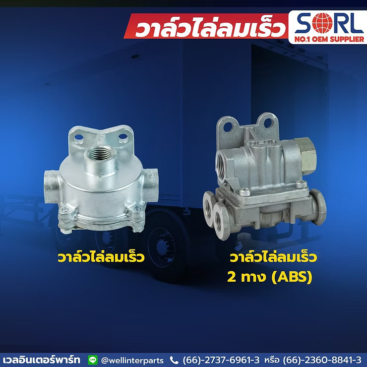 wellinterparts